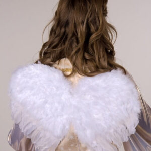 Engelsflügel, ca. 48 x 34 cm