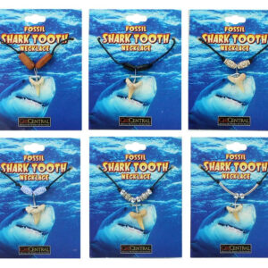 HCM Halskette Haifischzahn 6-fach sortiert - auf Karte ca 10x7,5cm