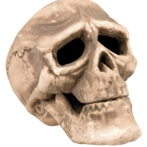 Totenkopf ca 17x18 cm