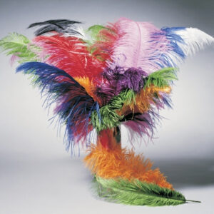 Straußenfeder, ca. 30 cm, grün