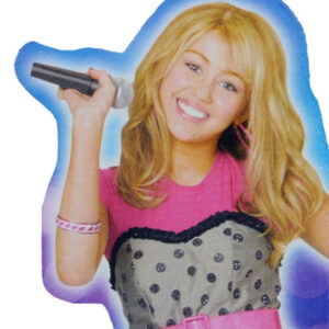 RUBIE'S Hannah Montana Perücke in Box ca 27x20,5x6cm