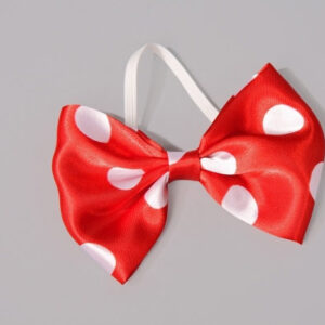 Fliege rot mit weißen Punkten