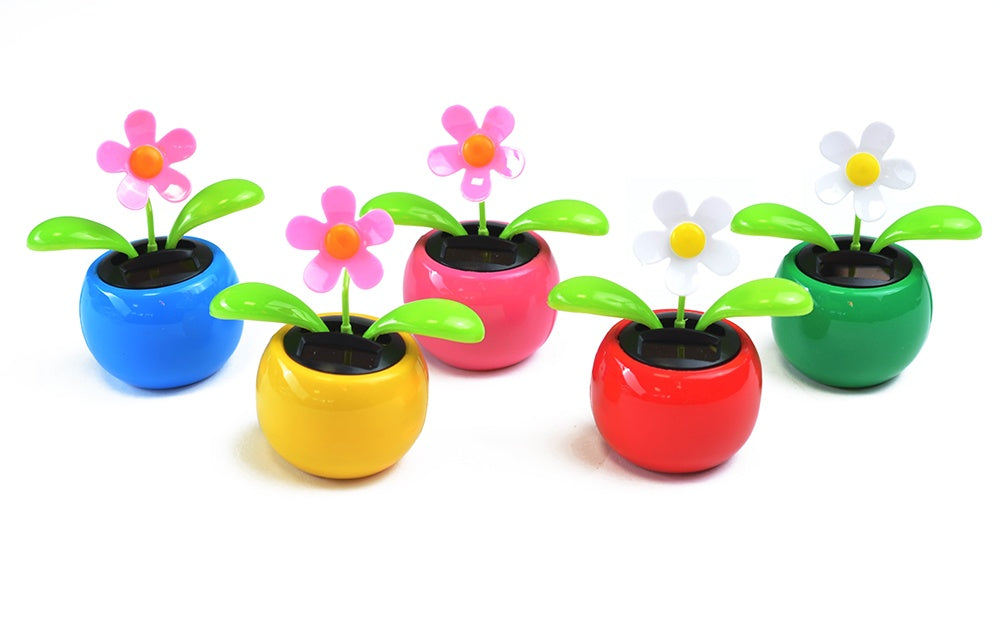 Solar Blume 5 sortierte Farben ca 11 x 11 cm