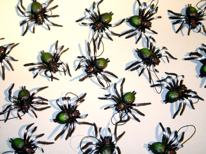 kleine Spinne am Faden, ca. 7 cm