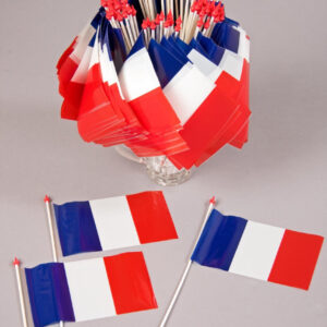 Plastikfähnchen, ca. 10x15 cm, Frankreich