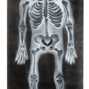 Banner Skelett ca 75x185cm