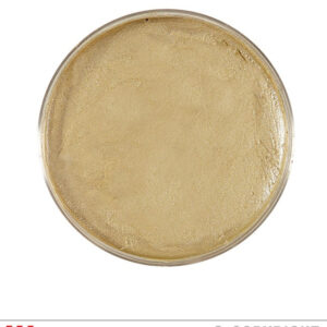 MAKE UP Goldfarben in Schale ca 25 g