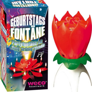 "Fontäne mit ""Happy-Birthday""-Melodie"