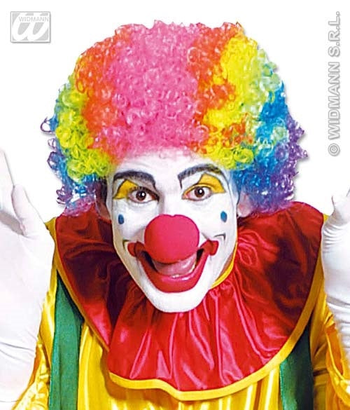 Perücke - Clownperücke multifarben