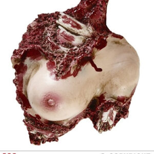 Frauenoberkörper halb - Zombie ca 30 cm